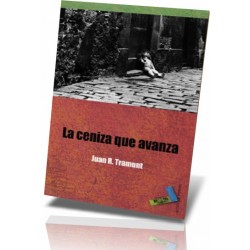 LA CENIZA QUE AVANZA