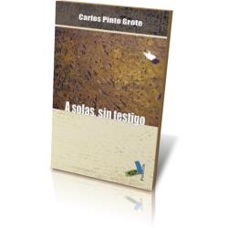 A SOLAS, SIN TESTIGO