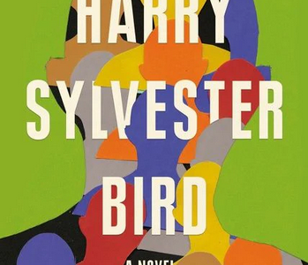 ¿  Qué pasa cuando un blanco se siente negro?